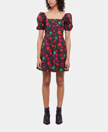 , MULTICOLOR, hi-res image number null