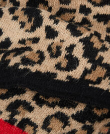 , LEOPARD, hi-res image number null
