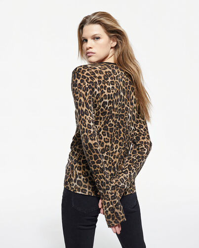 , LEOPARD, hi-res image number null