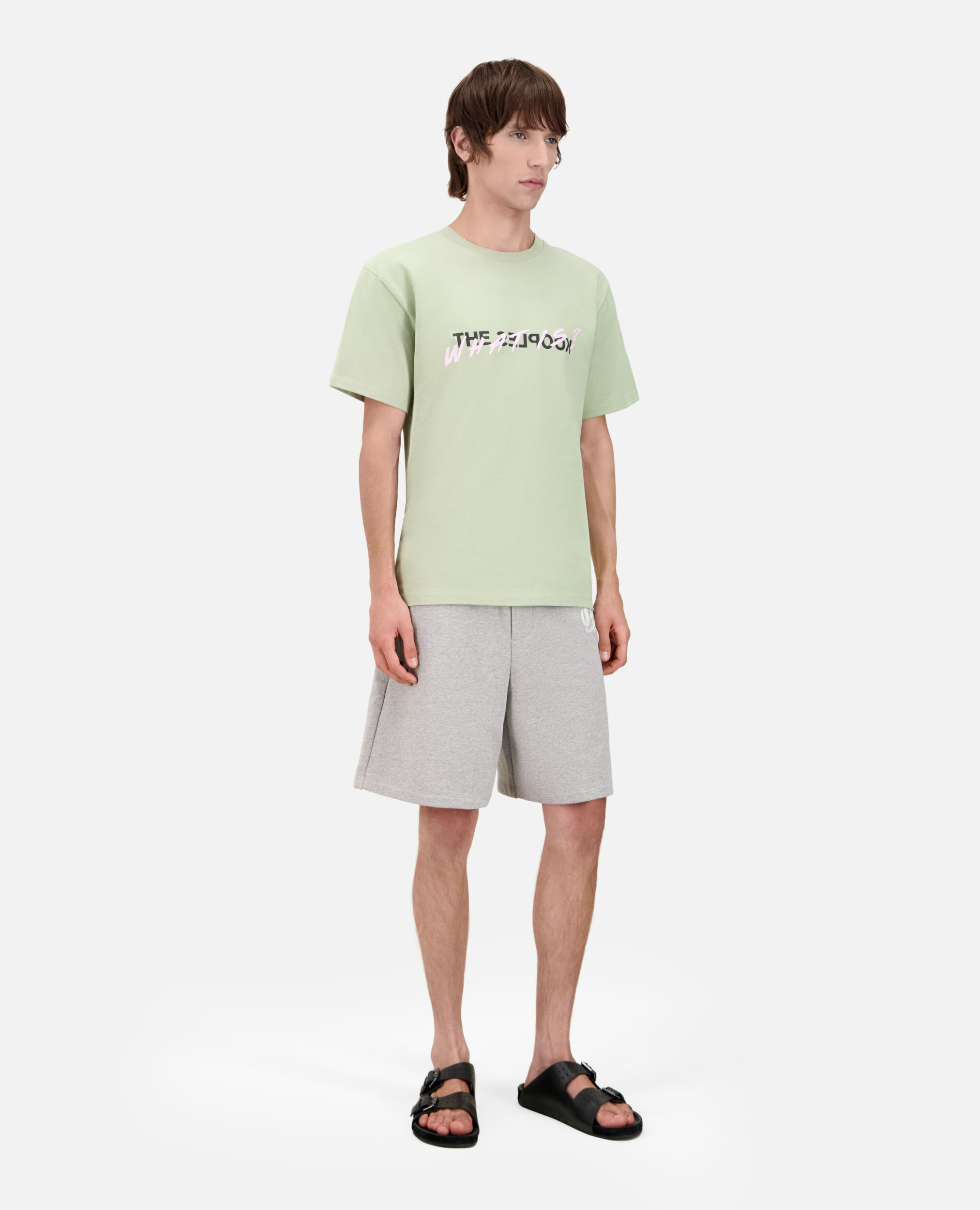 Light green What is t-shirt, KAKI GREY, hi-res image number null