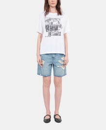 , WHITE, hi-res image number null