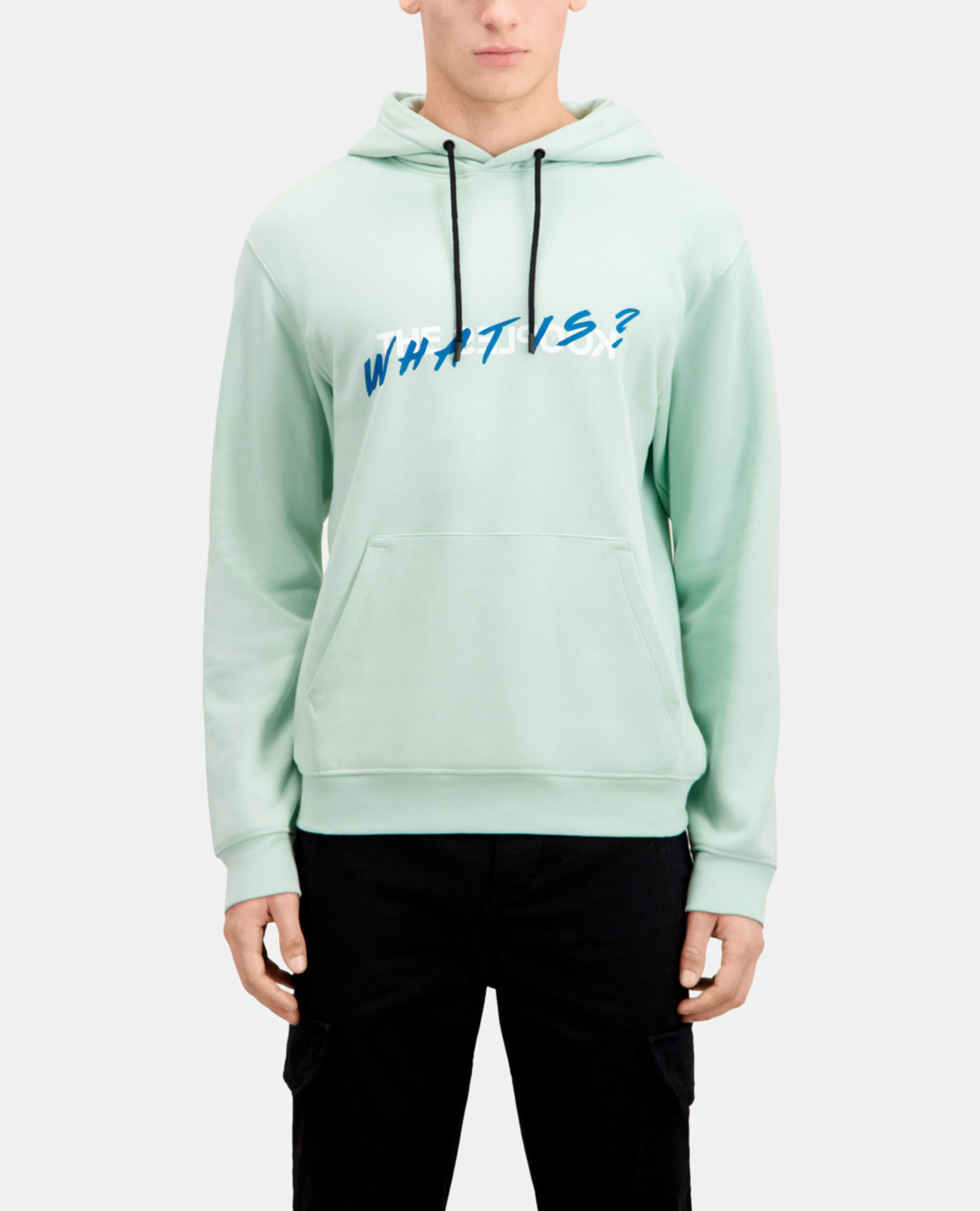 Sweatshirt à capuche What is vert, OCEAN, hi-res image number null