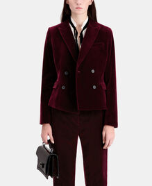 , BURGUNDY, hi-res image number null