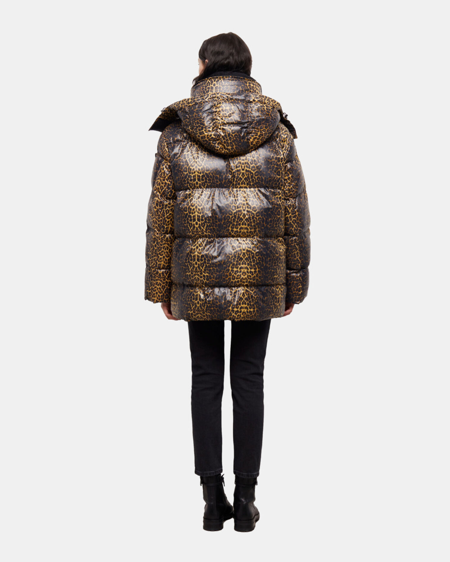, LEOPARD, hi-res image number null