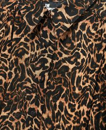 , LEOPARD, hi-res image number null