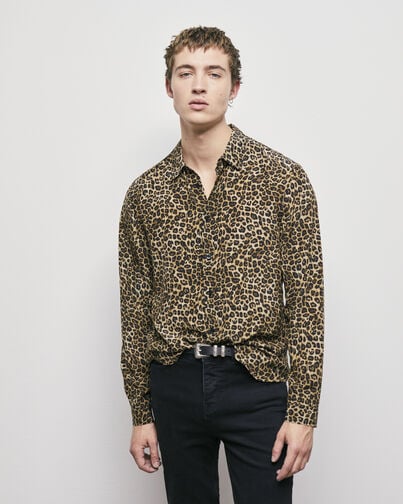 , LEOPARD, hi-res image number null