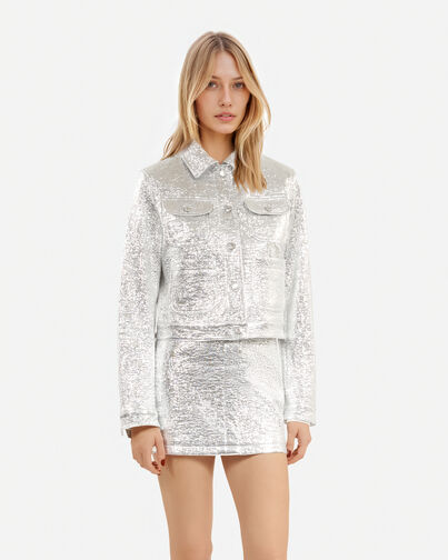, SILVER, hi-res image number null