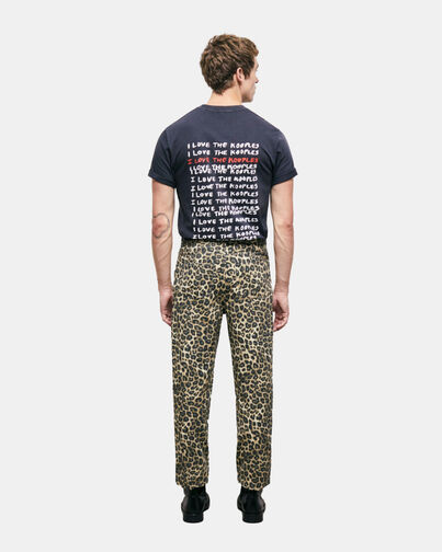 , LEOPARD, hi-res image number null