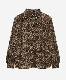, LEOPARD, hi-res image number null