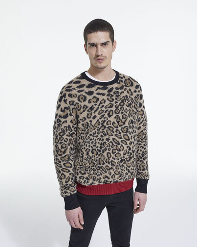 , LEOPARD, hi-res image number null