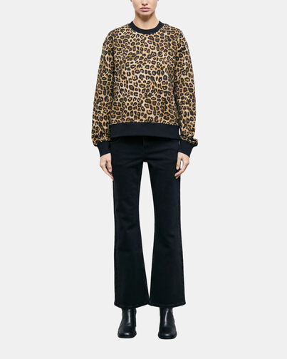 , LEOPARD, hi-res image number null