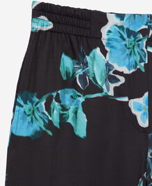 , BLACK BLUE, hi-res image number null