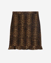 , LEOPARD, hi-res image number null