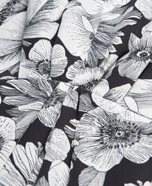 , BLACK WHITE, hi-res image number null