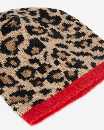 , LEOPARD, hi-res image number null