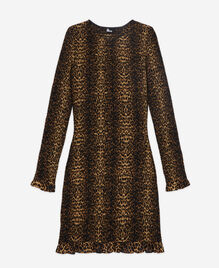 , LEOPARD, hi-res image number null