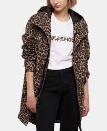 , LEOPARD, hi-res image number null