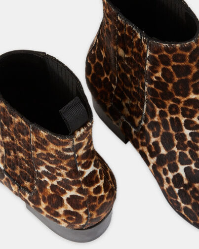 , LEOPARD, hi-res image number null