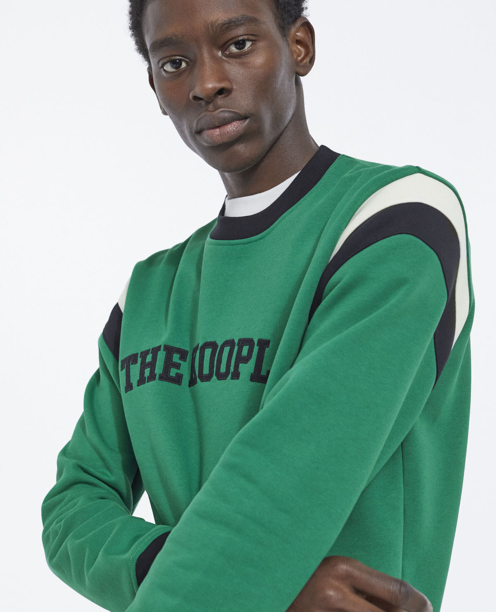 Crew-neck sweatshirt with strips and logo, GREEN BLACK ECRU, hi-res image number null