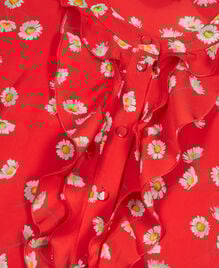 , RED / WHITE, hi-res image number null