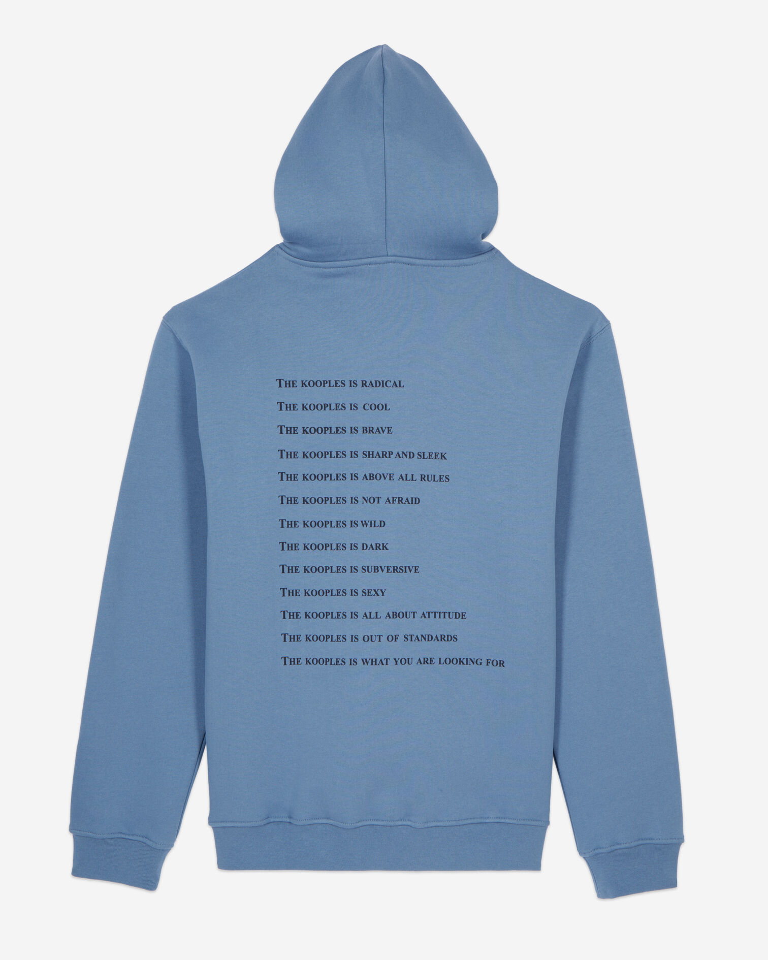 Sweatshirt à capuche What is bleu, STONE BLUE, hi-res image number null
