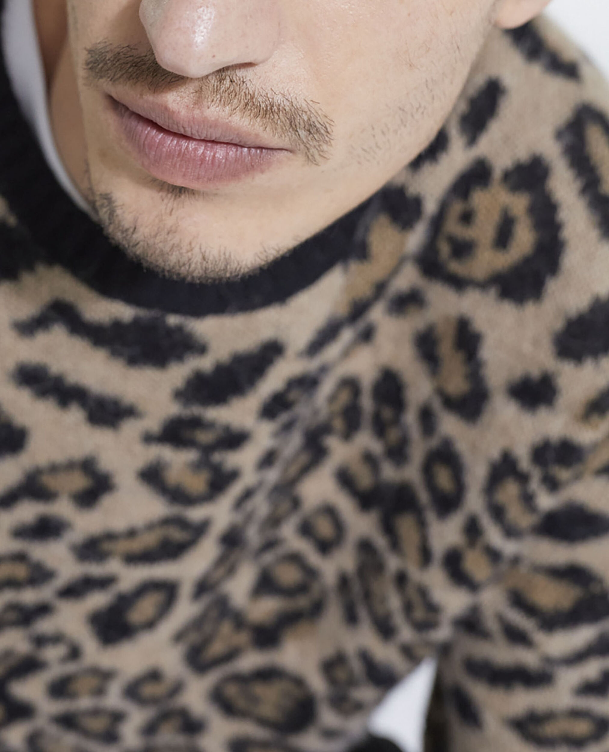 Jersey leopardo, LEOPARD, hi-res image number null