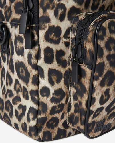 , LEOPARD, hi-res image number null