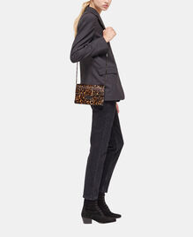 , LEOPARD, hi-res image number null