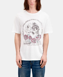 , WHITE, hi-res image number null