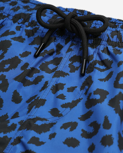 , BLUE ELECTRIC, hi-res image number null