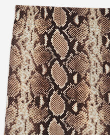 , BEIGE, hi-res image number null