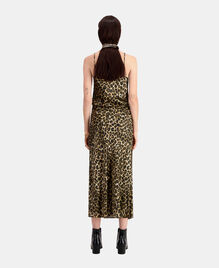 , LEOPARD, hi-res image number null