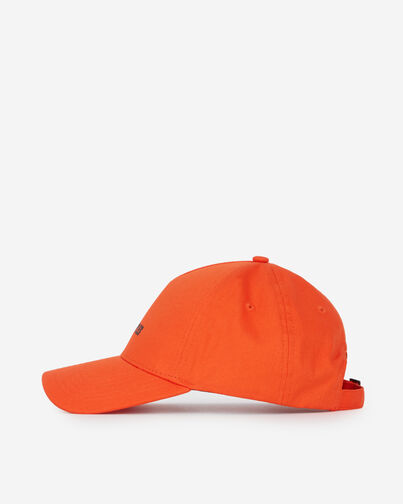 , PUMPKIN, hi-res image number null