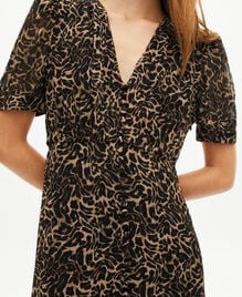 , LEOPARD, hi-res image number null