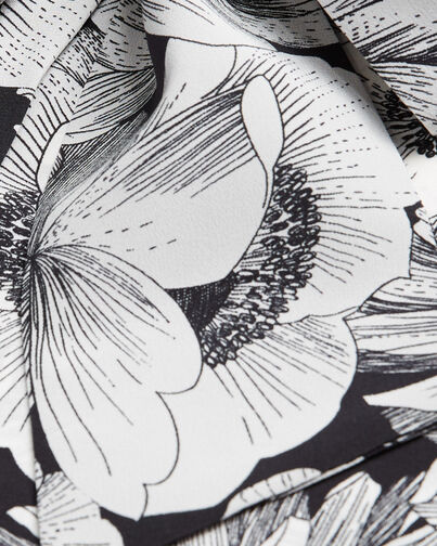 , BLACK WHITE, hi-res image number null