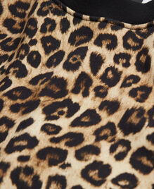 , LEOPARD, hi-res image number null
