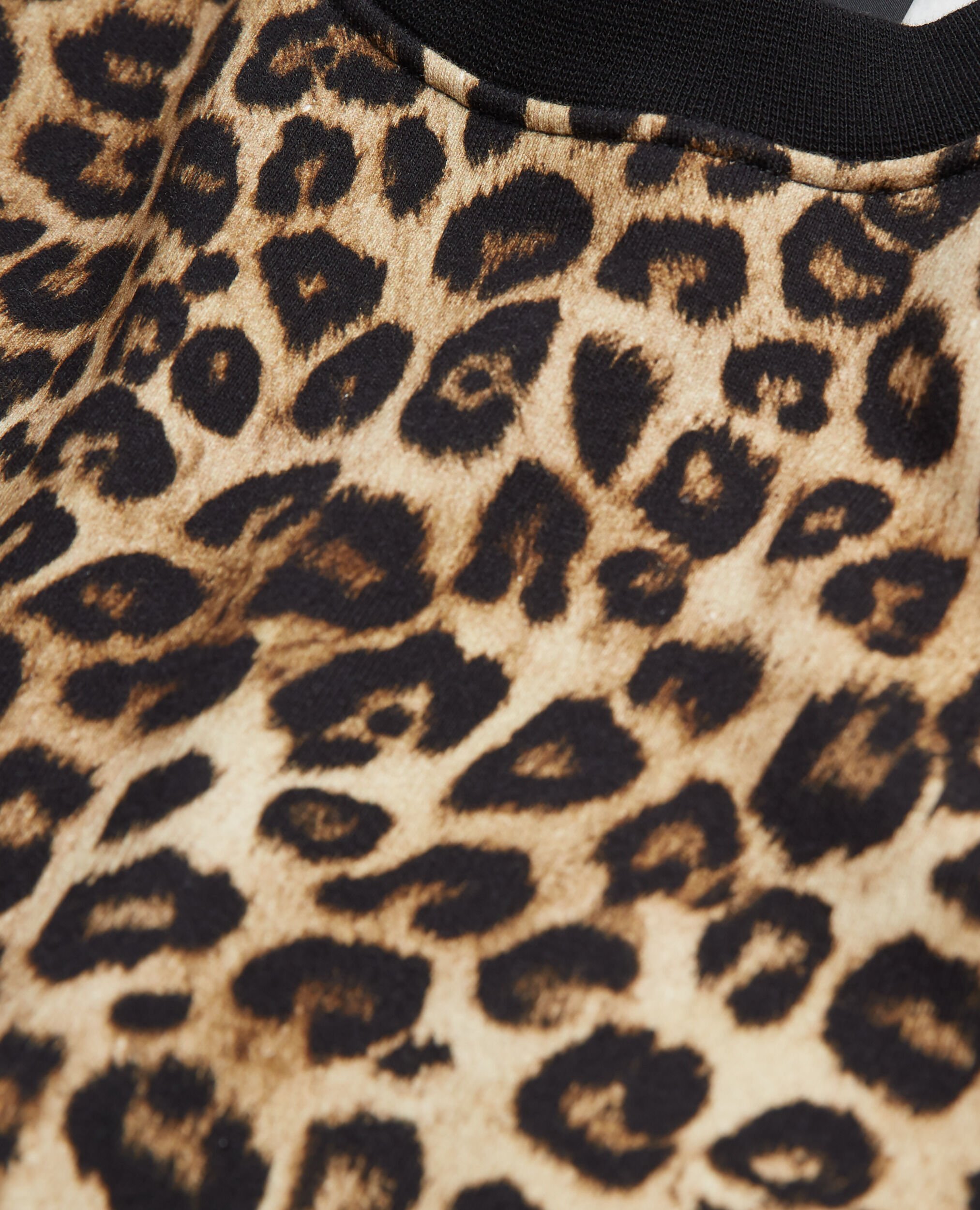 Leopard print sweatshirt, LEOPARD, hi-res image number null