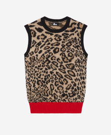 , LEOPARD, hi-res image number null