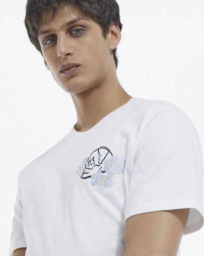 , WHITE, hi-res image number null