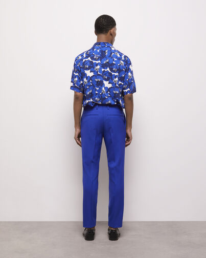 , BLUE BRUT, hi-res image number null