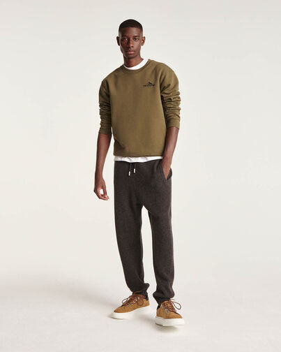 , BROWN, hi-res image number null