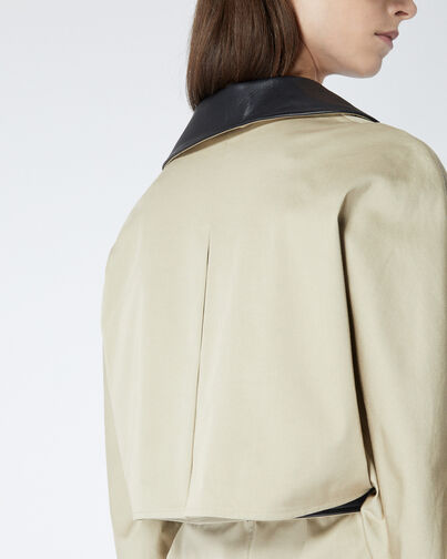 , BEIGE, hi-res image number null