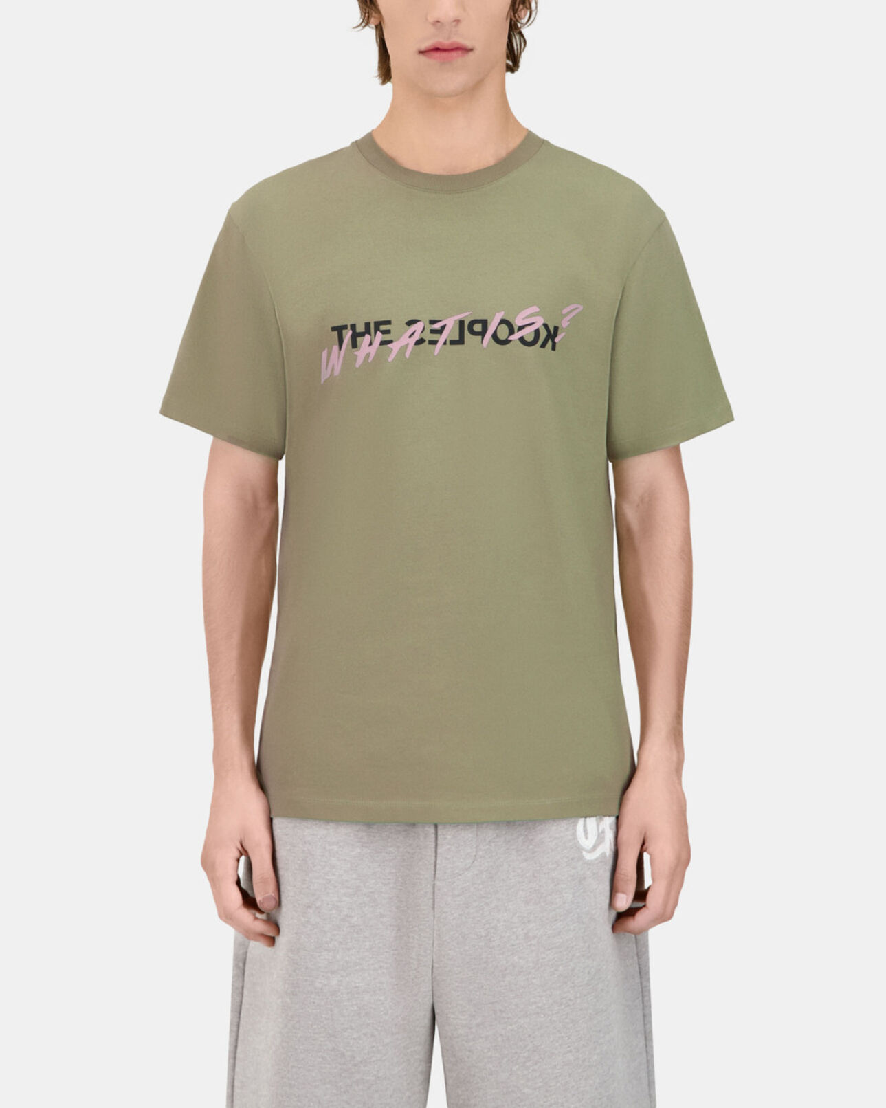 The Kooples MEN KAKI GREY light green what is t-shirt