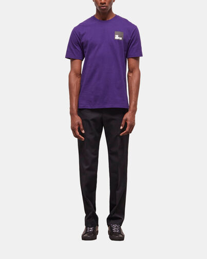 , PURPLE, hi-res image number null