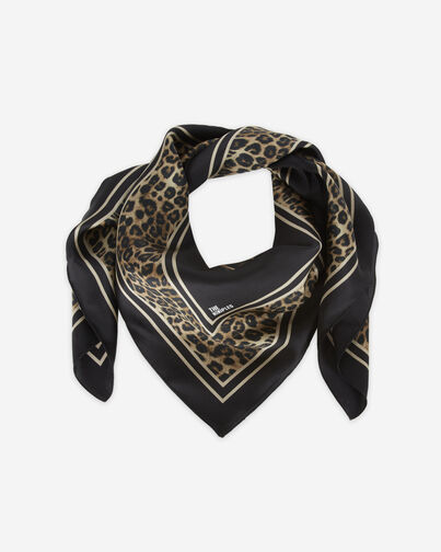 , LEOPARD, hi-res image number null
