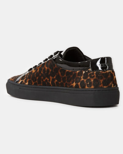 , LEOPARD, hi-res image number null