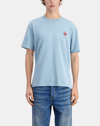 , BLUE GREY, hi-res image number null