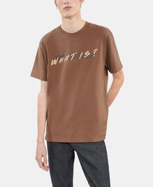 , BROWN, hi-res image number null