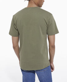, OLIVE NIGHT, hi-res image number null