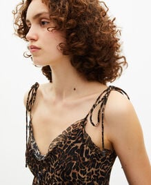 , LEOPARD, hi-res image number null